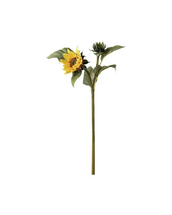 Solsikke afskårne blomster gul