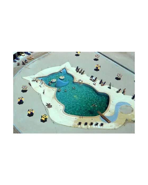 Cat-Shaped Pool