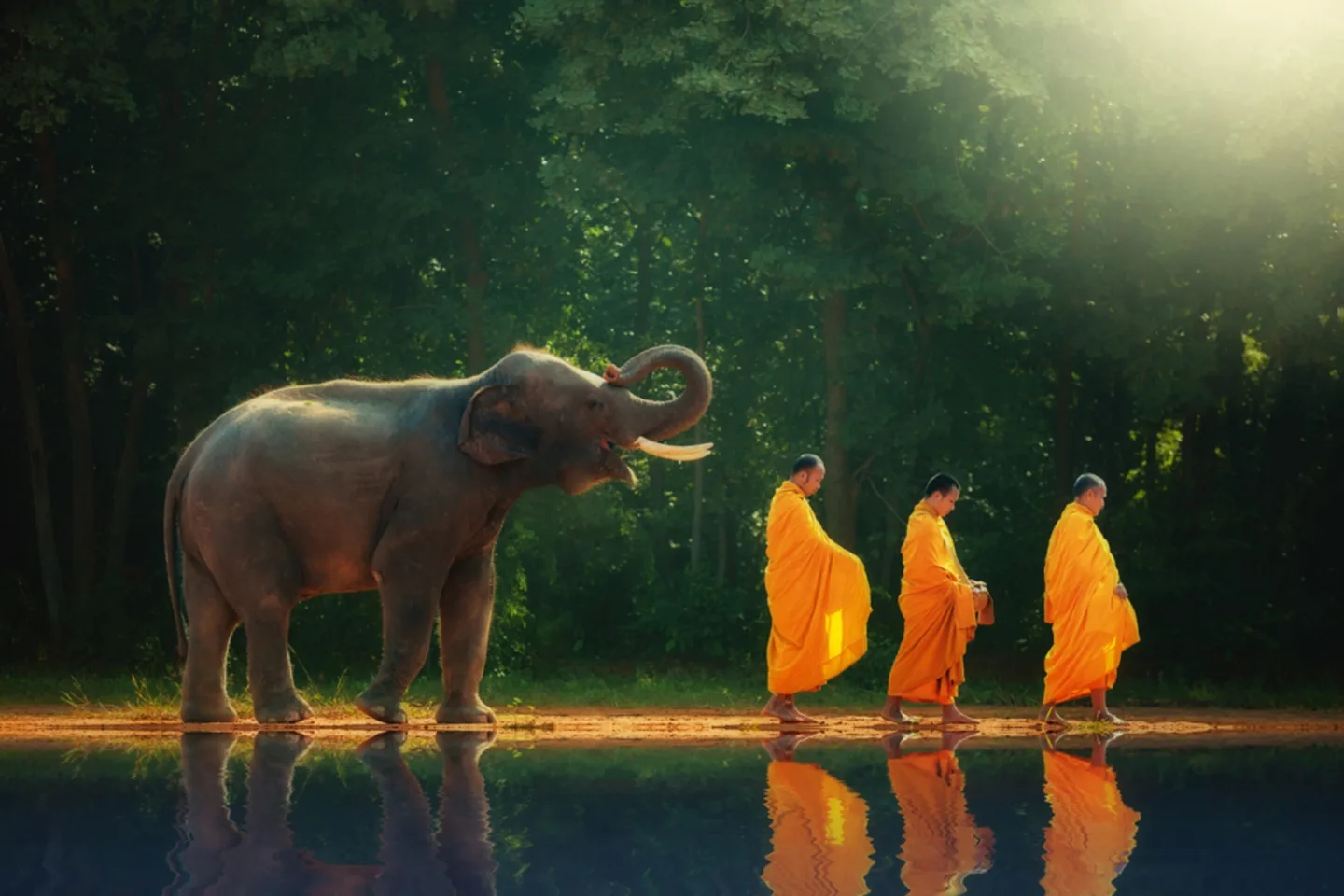 image LAND Alubild Mönchwanderung mit Elefant | Schubiger Möbel