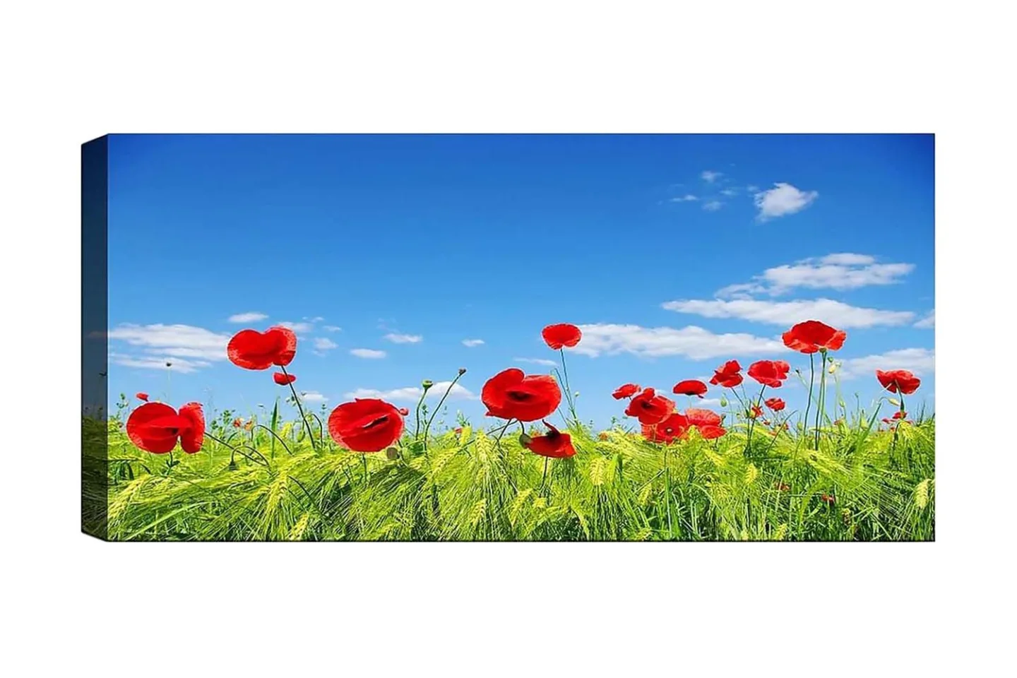 Canvastavla YTY Floral & Botanical Flerfärgad - 120x50 cm