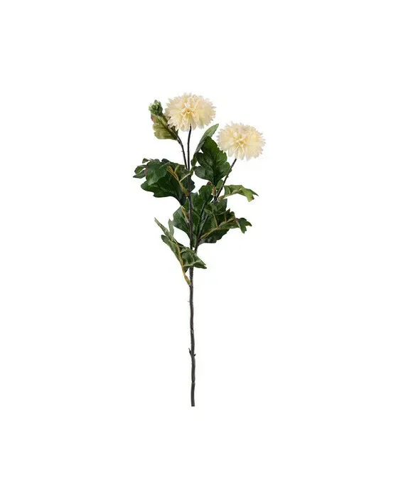 Chrysanthemum snitblomst off-white