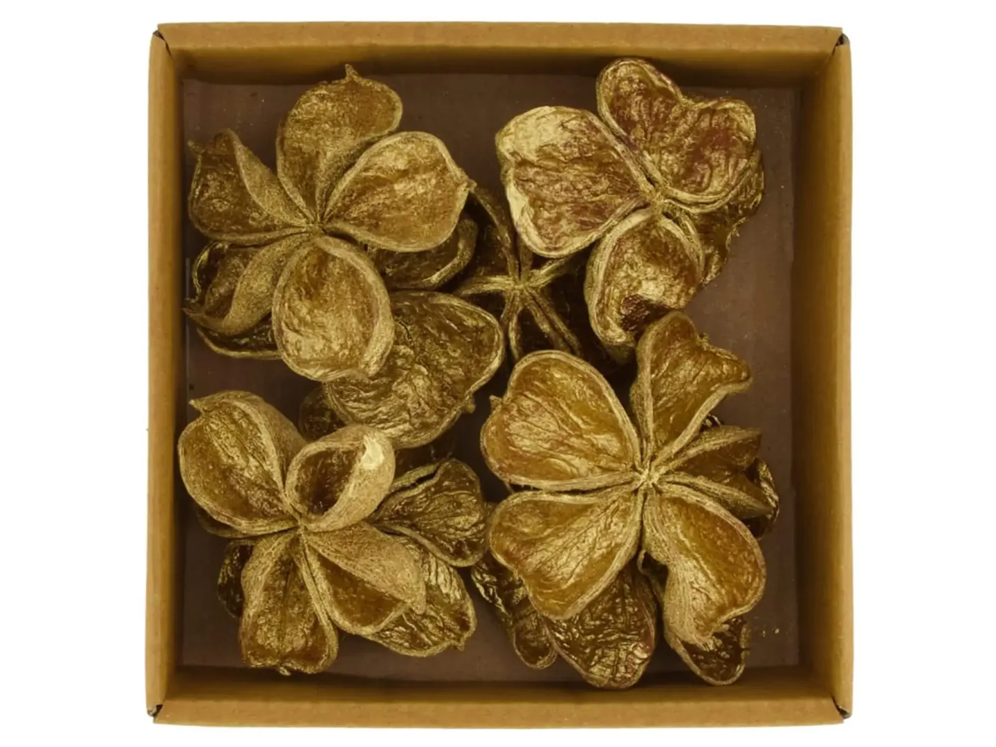 Decofinder Lotosblumen Natur Gold Gelb | Schubiger Möbel