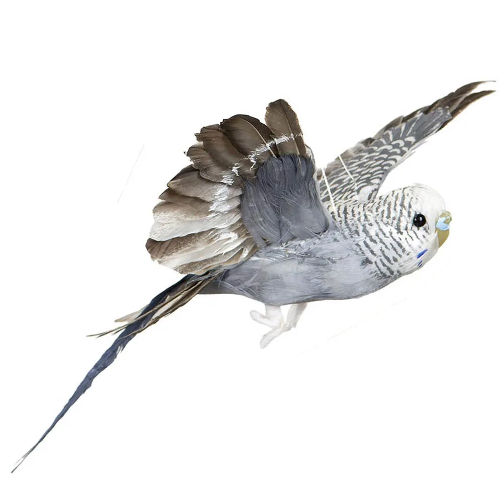 Undulat flygande Grå