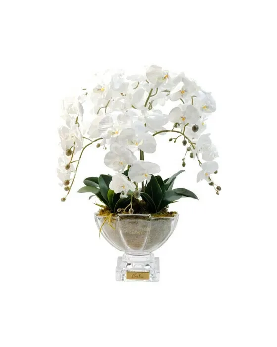 Orchidée Grandeur Gift Set