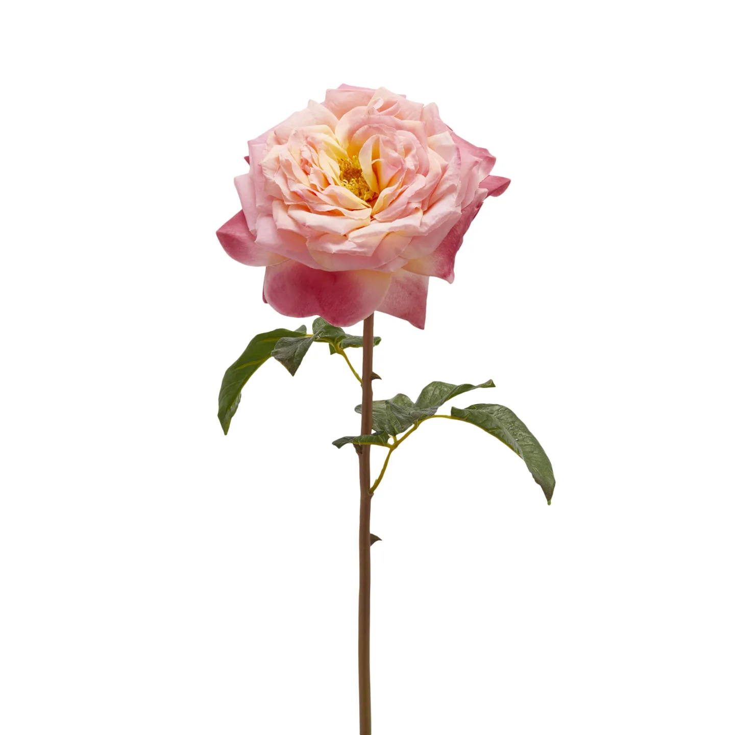 Edg Kunstblume Rose Rosa H: 50 cm | Schubiger Möbel