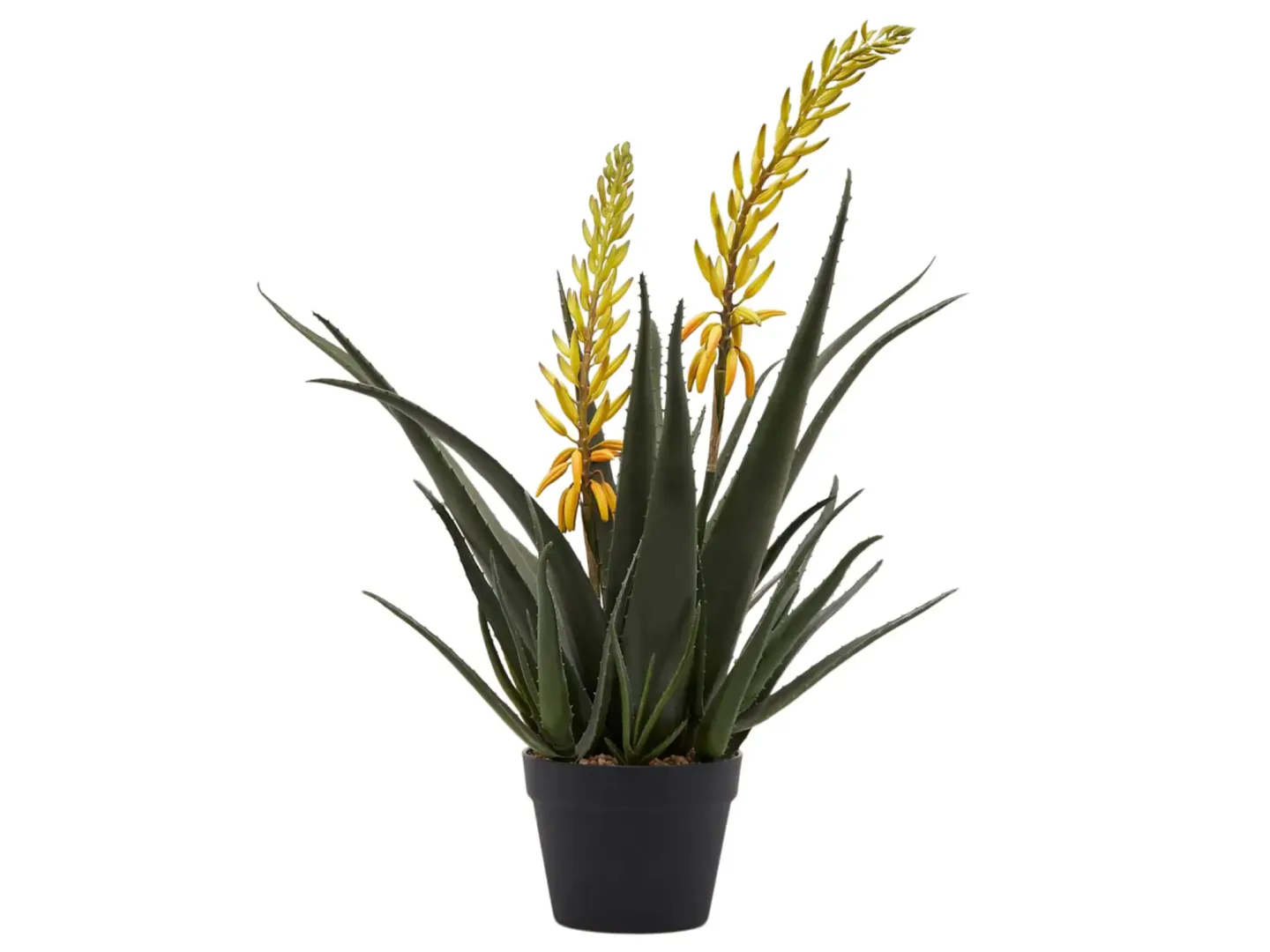 Edg Kunstpflanzen Aloe Gelb H: 70 cm Gelb | Schubiger Möbel