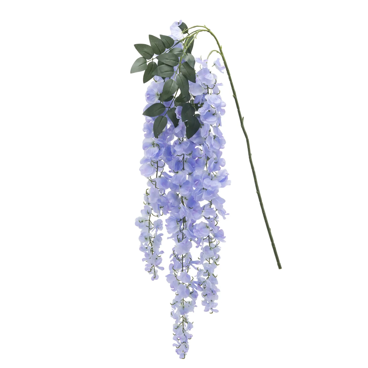 Edg Kunstblume Glicine Hellblau H: 150 cm | Schubiger Möbel