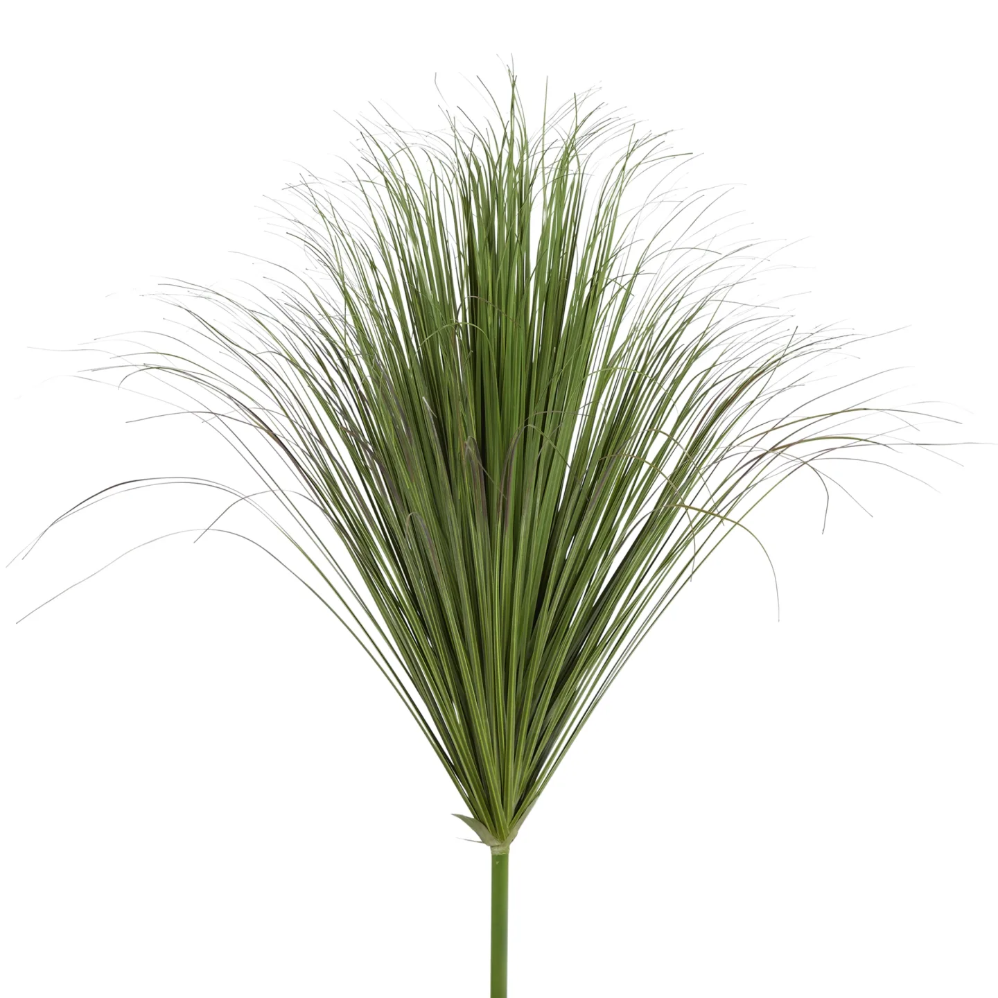 Edg Kunstpflanze Grassbüschel H: 110 cm | Schubiger Möbel