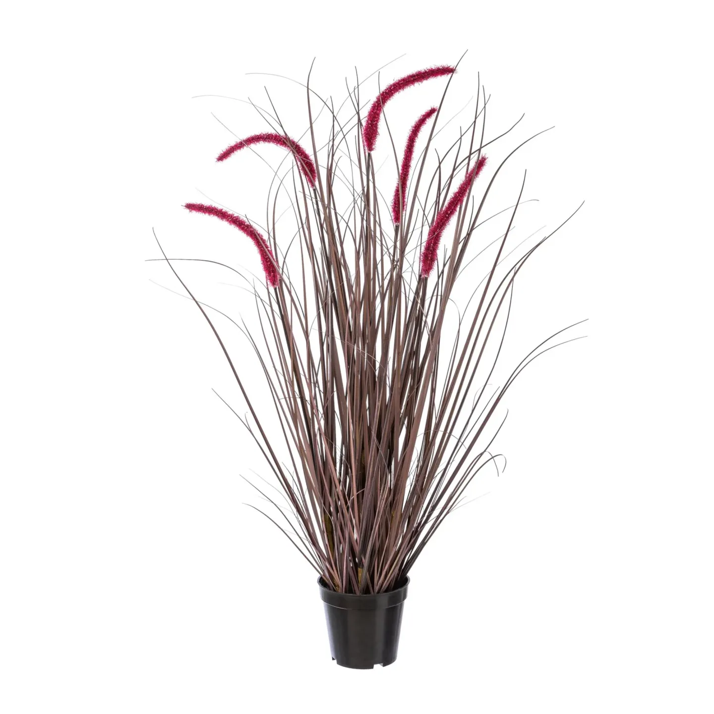 Gasper Kunstblume Pesetum Aubergine H: 89 cm | Schubiger Möbel