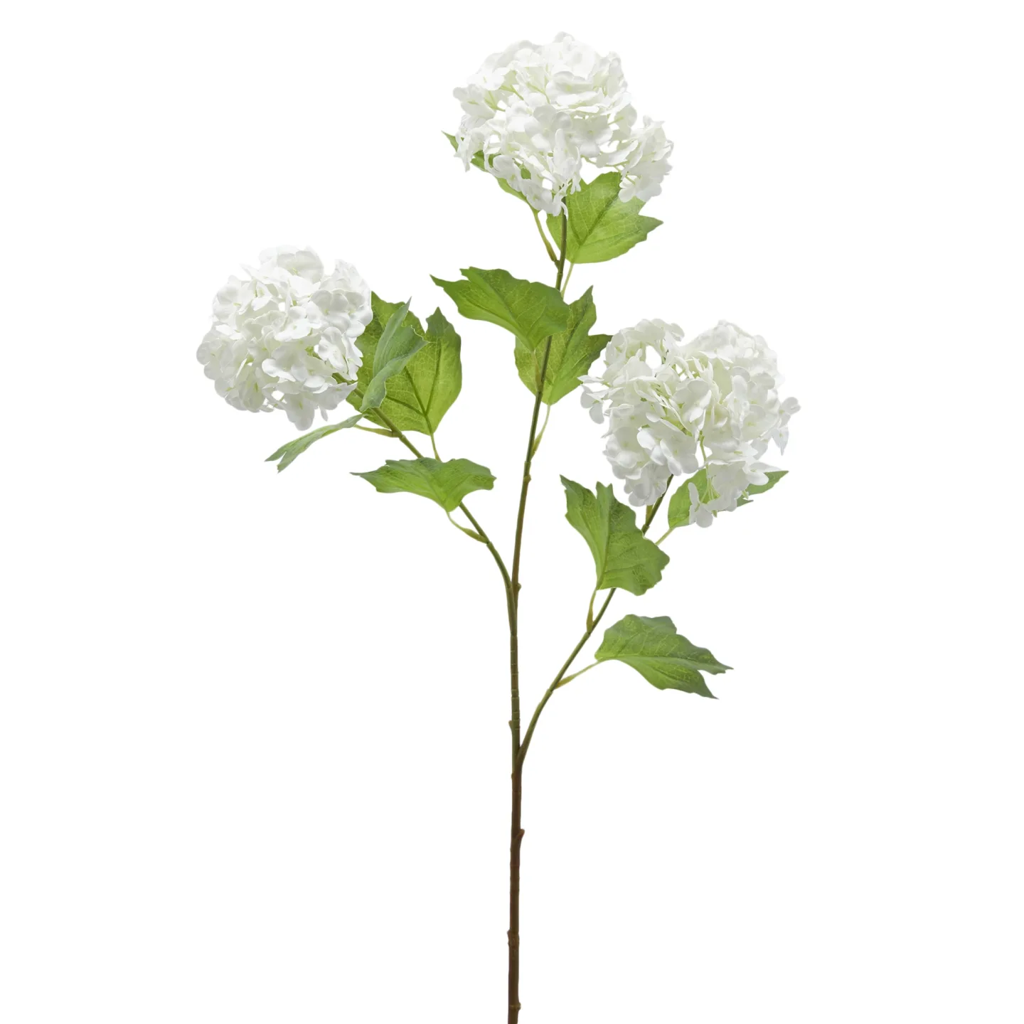 Edg Kunstblume Schneeball Weiss H: 70 cm | Schubiger Möbel