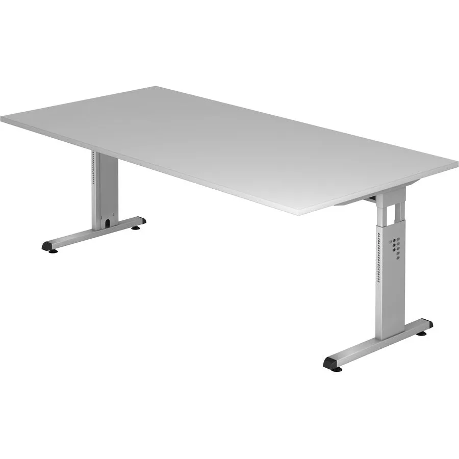 Schreibtisch Office grau Holzwerkstoff B 200 T 100 cm