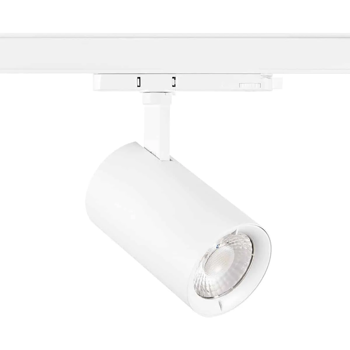 Spotlight Pixo Large Food Fish 24°/36°/54° 3-fas Vit