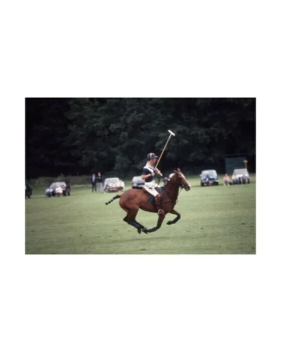 Polo Prince