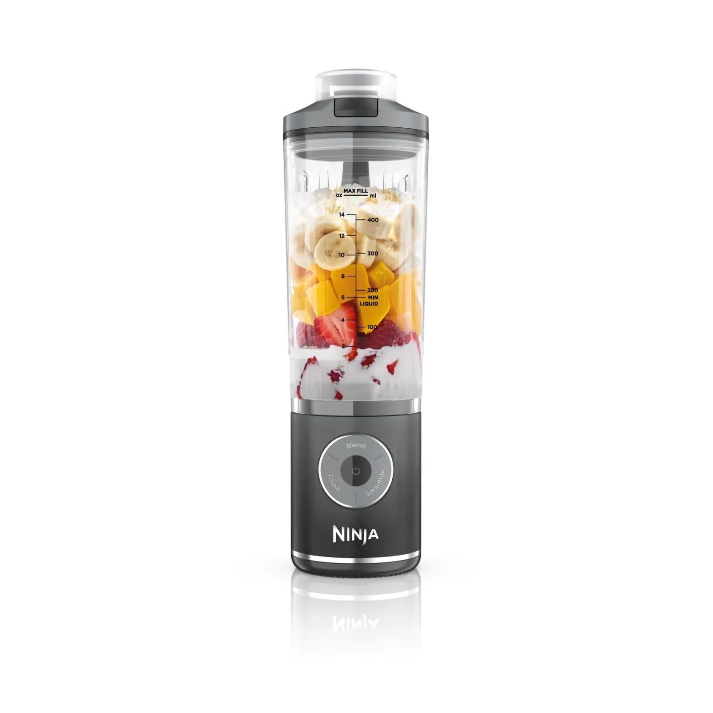 Ninja Ninja tragbarer Blender Blast Max Cool grey