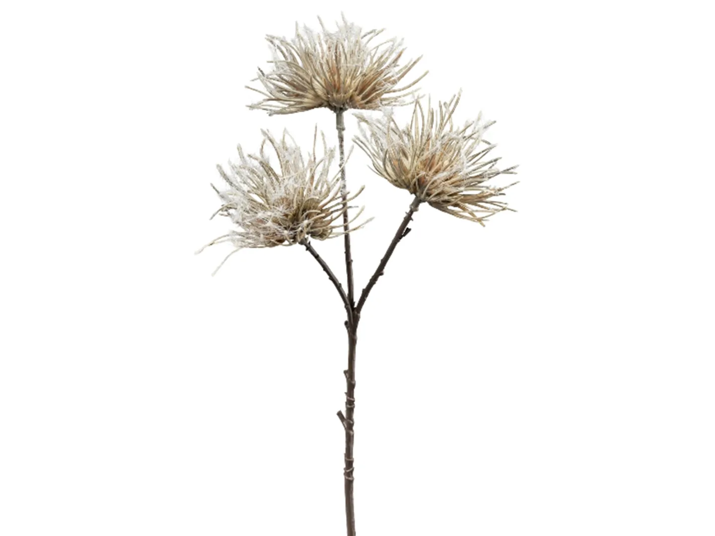 Gasper Kunstblume Urchin Grau H: 37 cm | Schubiger Möbel