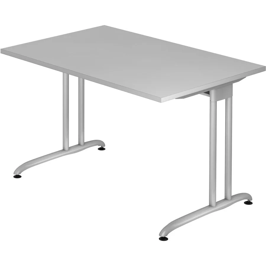 Schreibtisch Office grau Holzwerkstoff B 120 T 80 cm