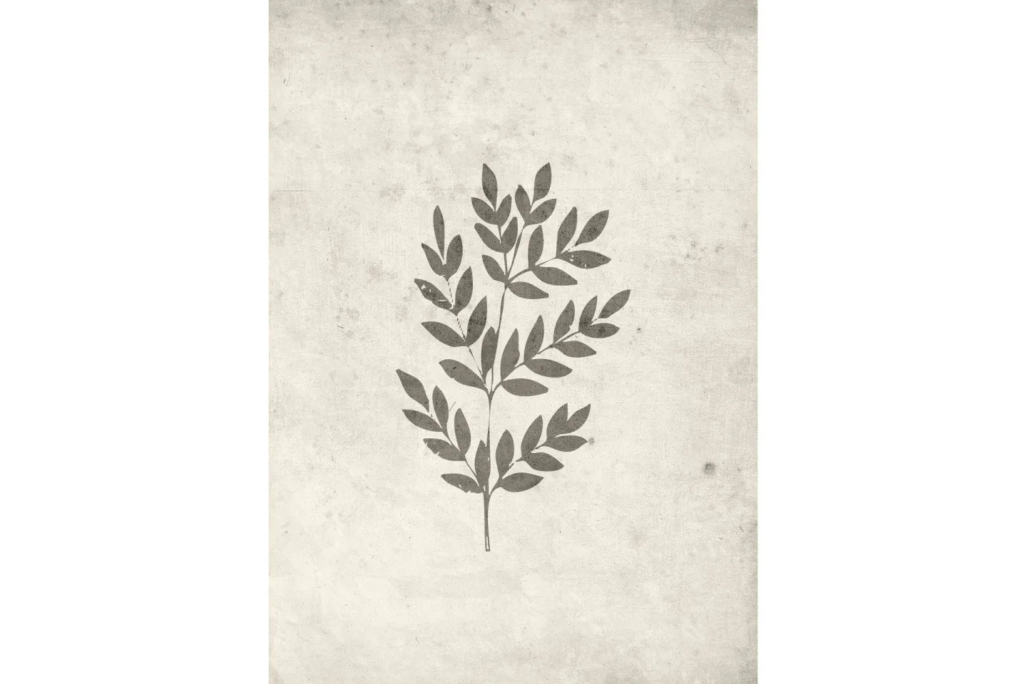 Poster Spring leaf 50x70 cm - Beige