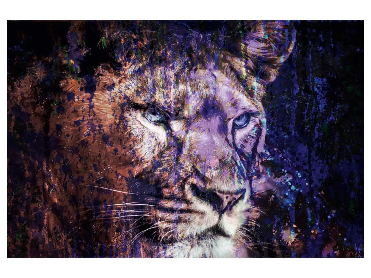 image LAND Digitaldruck auf Acrylglas Löwe in Blau | Schubiger Möbel