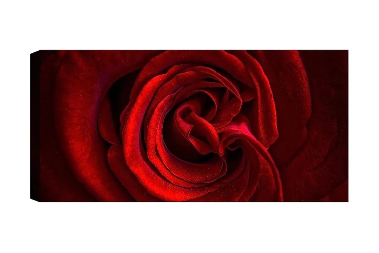 Canvastavla YTY Floral & Botanical Flerfärgad - 120x50 cm