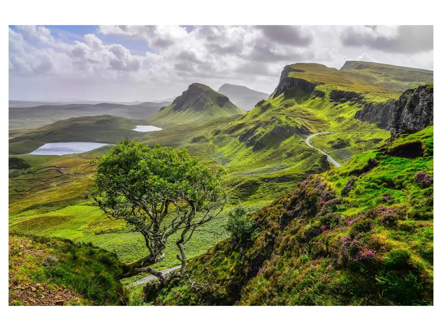 image LAND Digitaldruck auf Acrylglas Hügelige Landschaft | Schubiger Möbel