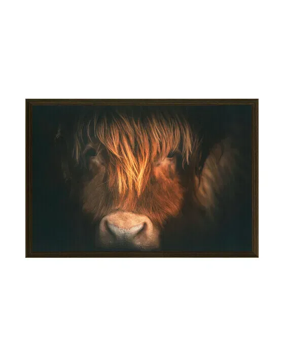 Highland Focus L