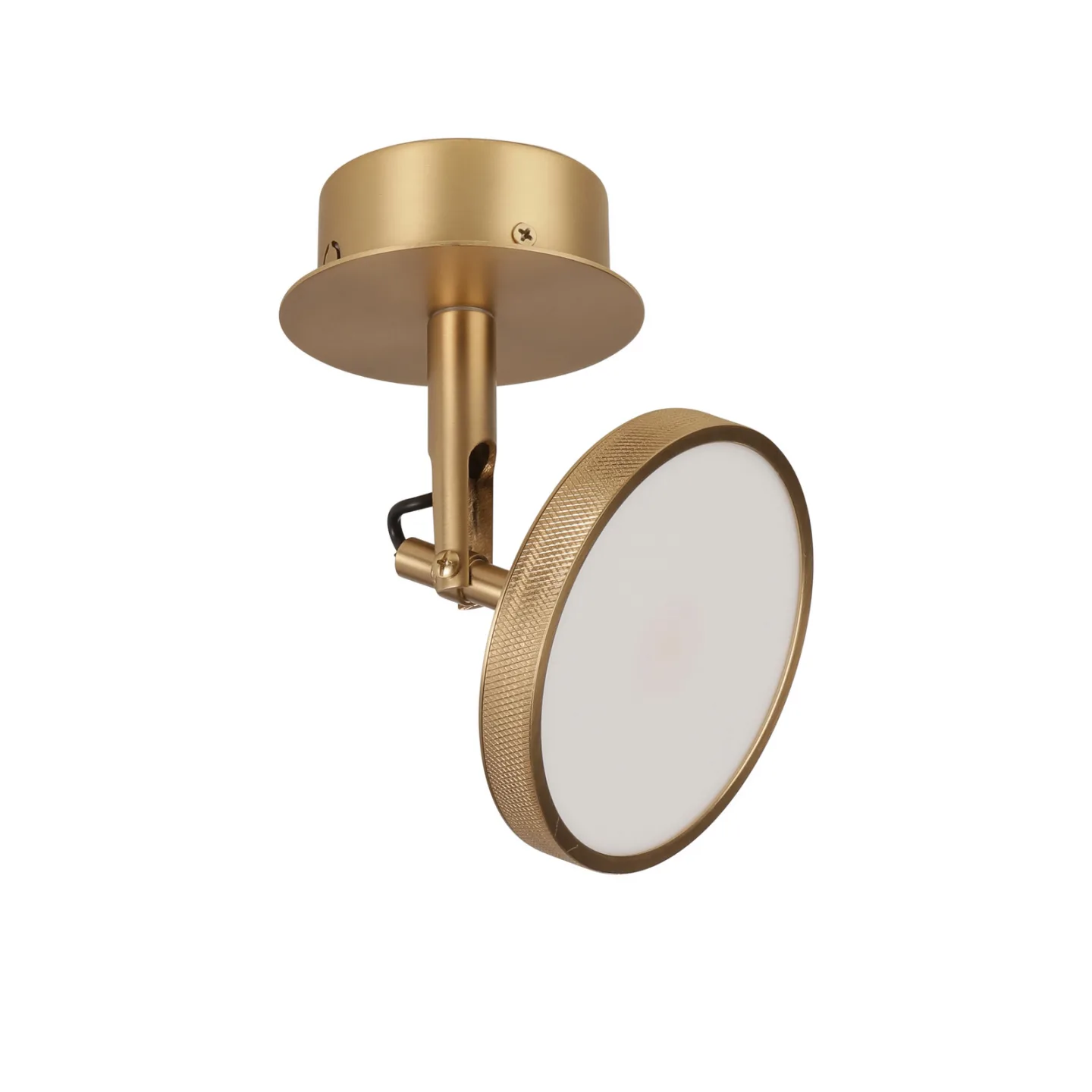 Umage Asteria Spot tak-och vägglampa Ø12 cm Polished brass