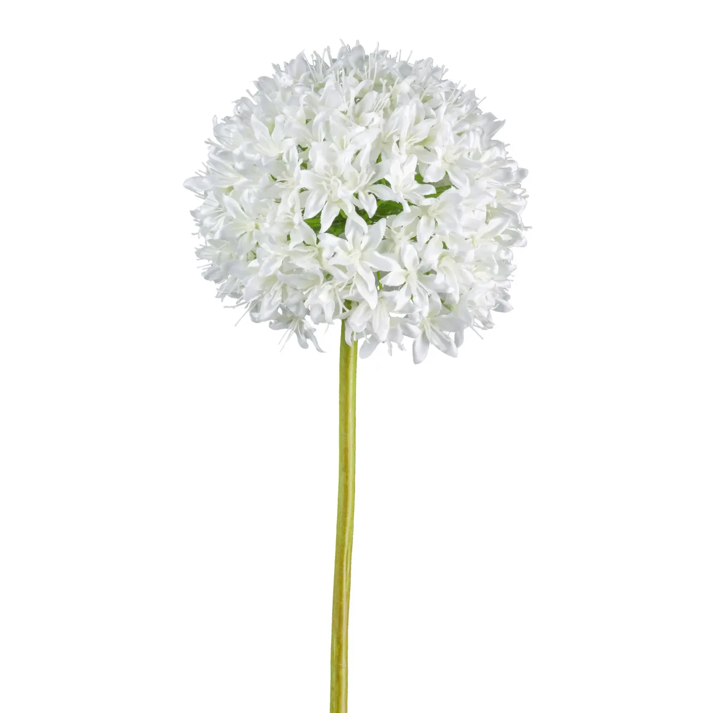 Gasper Kunstblume Allium, Weiss | Schubiger Möbel