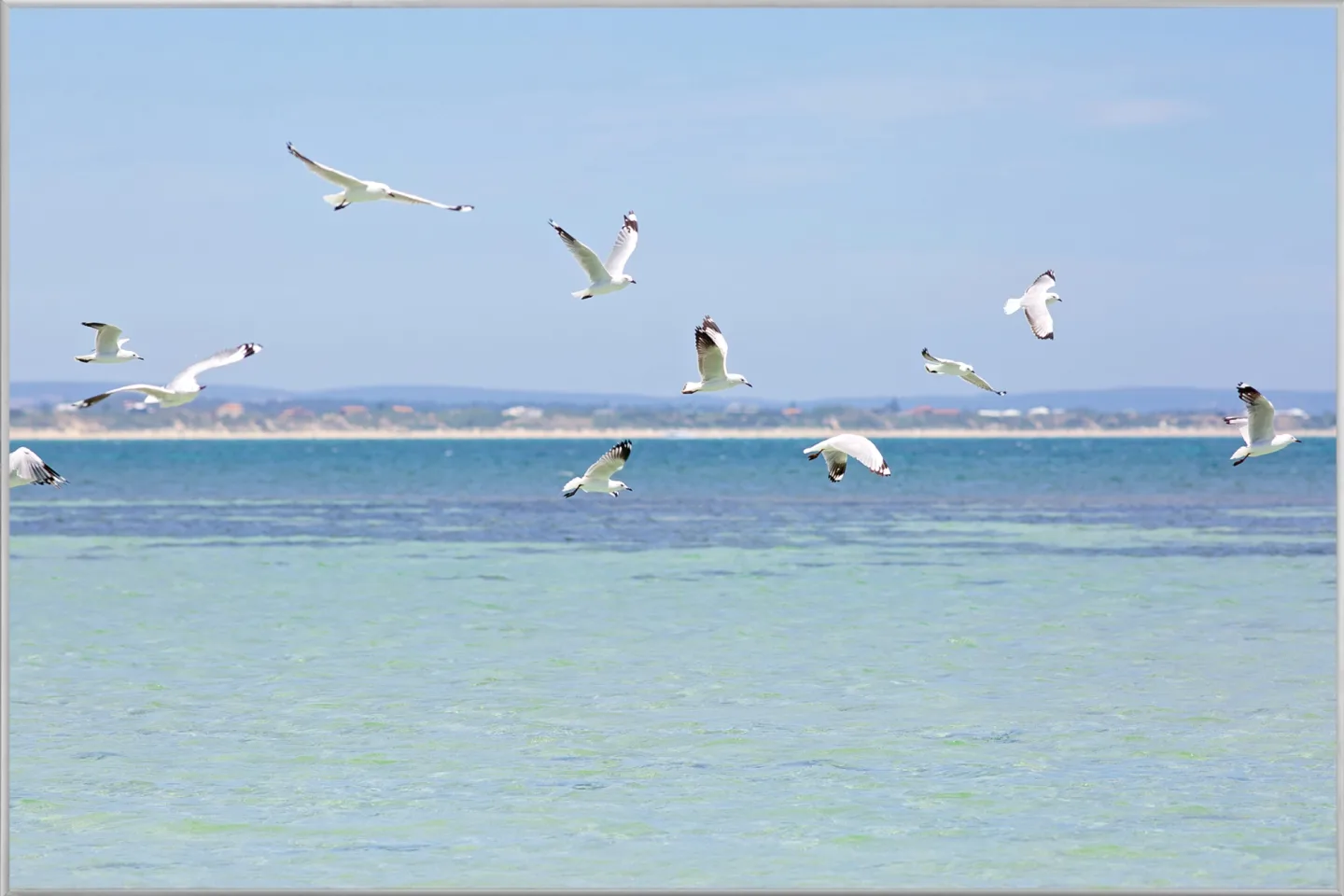image LAND Bild mit Rahmen Möwen Über Der Nordsee | Schubiger Möbel