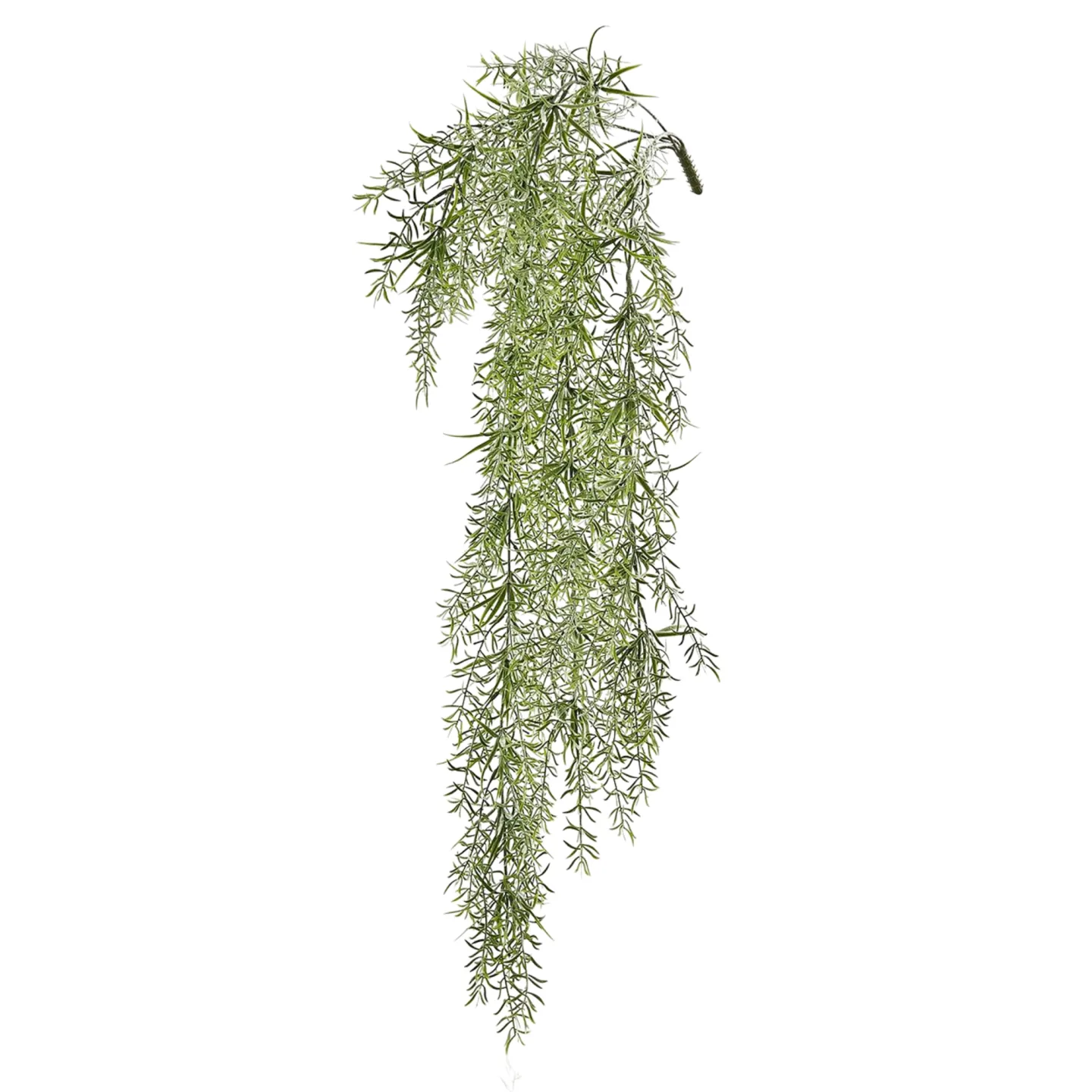 Edg Kunstblume Asparagus H: 86 cm | Schubiger Möbel