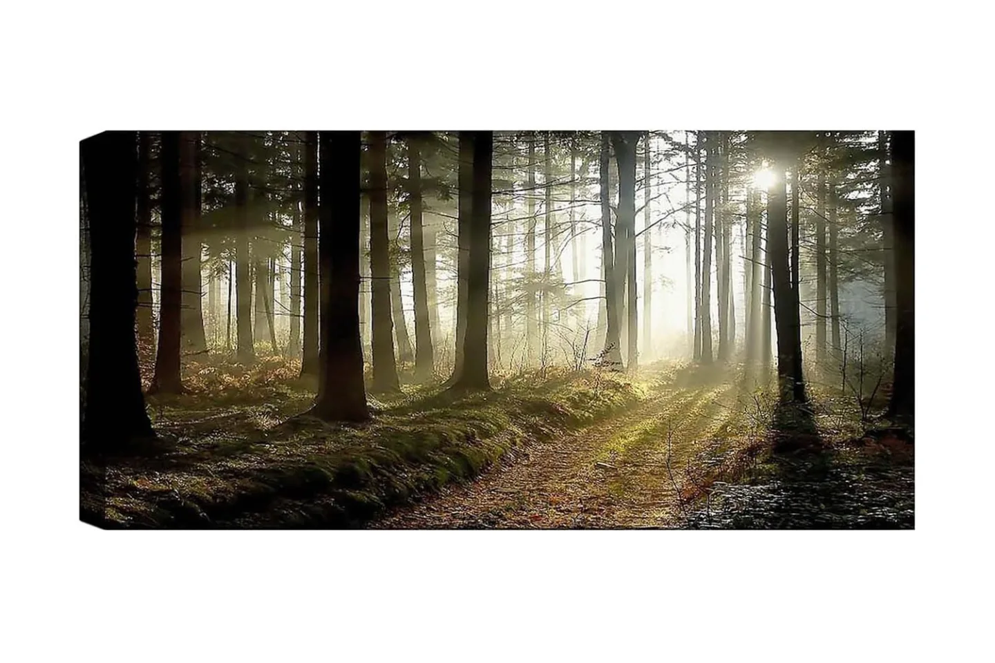 Canvastavla YTY Landscape & Nature Flerfärgad - 120x50 cm
