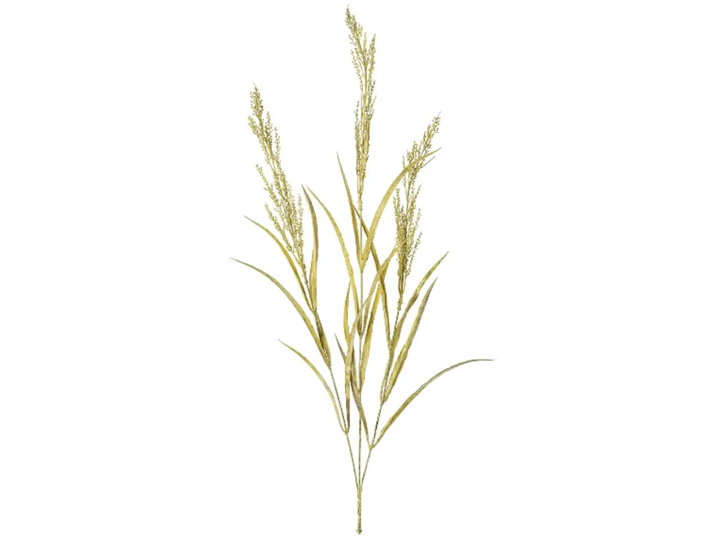 Gasper Kunstblume Reitgras Natur H: 84 cm | Schubiger Möbel