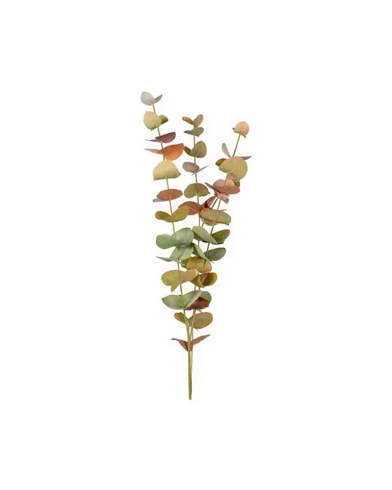 Eucalyptus snittblomma grön/orange