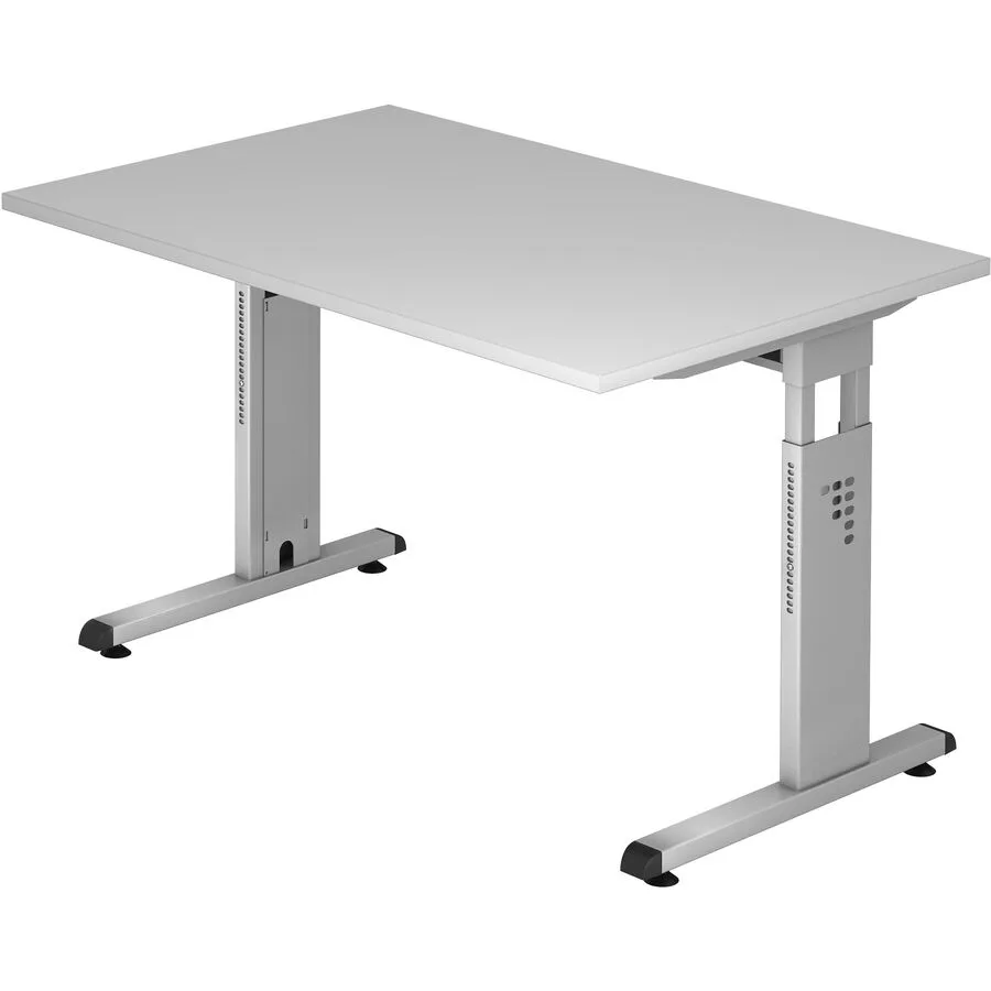Schreibtisch Office grau Holzwerkstoff B 120 T 80 cm