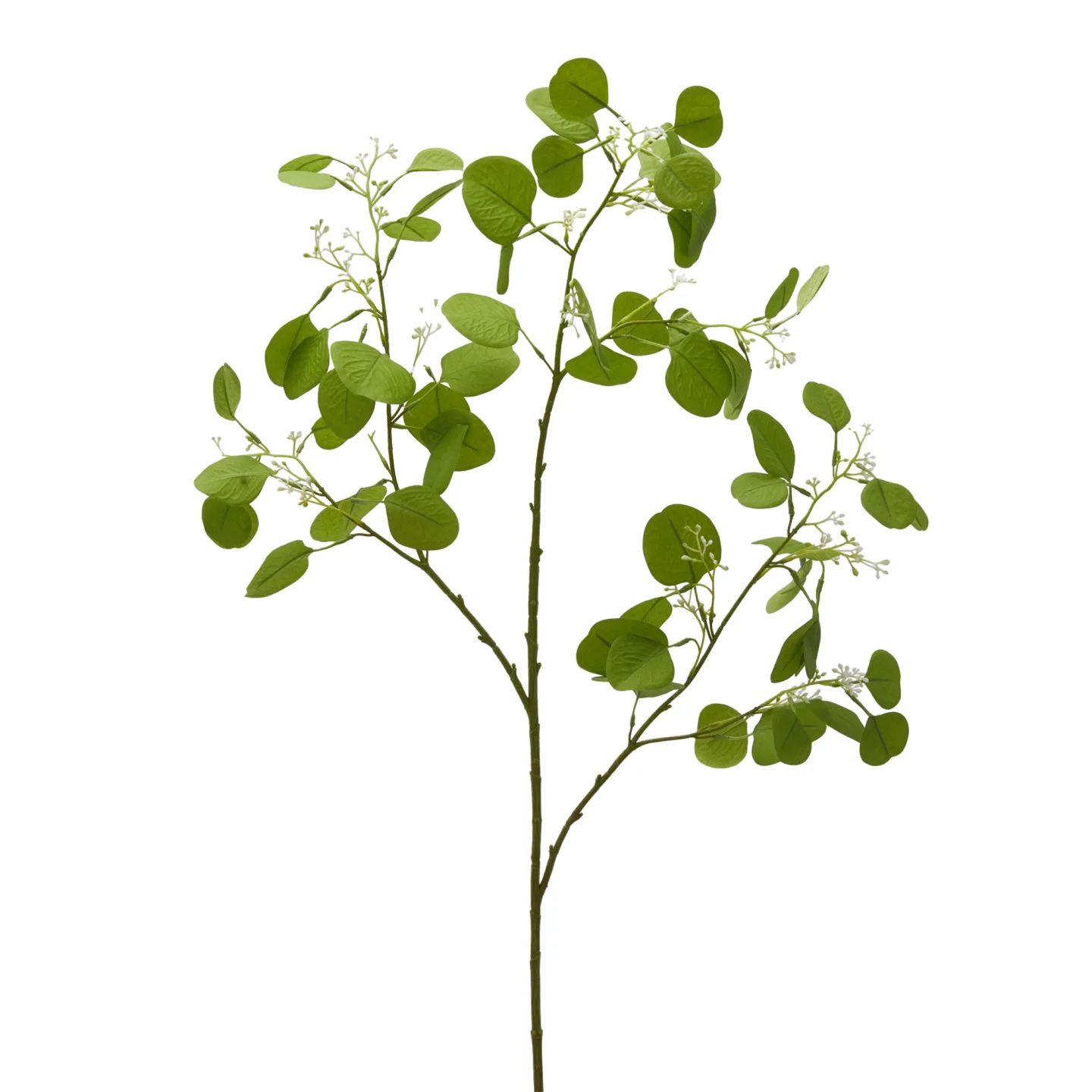 Edg Kunstblume Eucalyptus Grün H: 110 cm | Schubiger Möbel