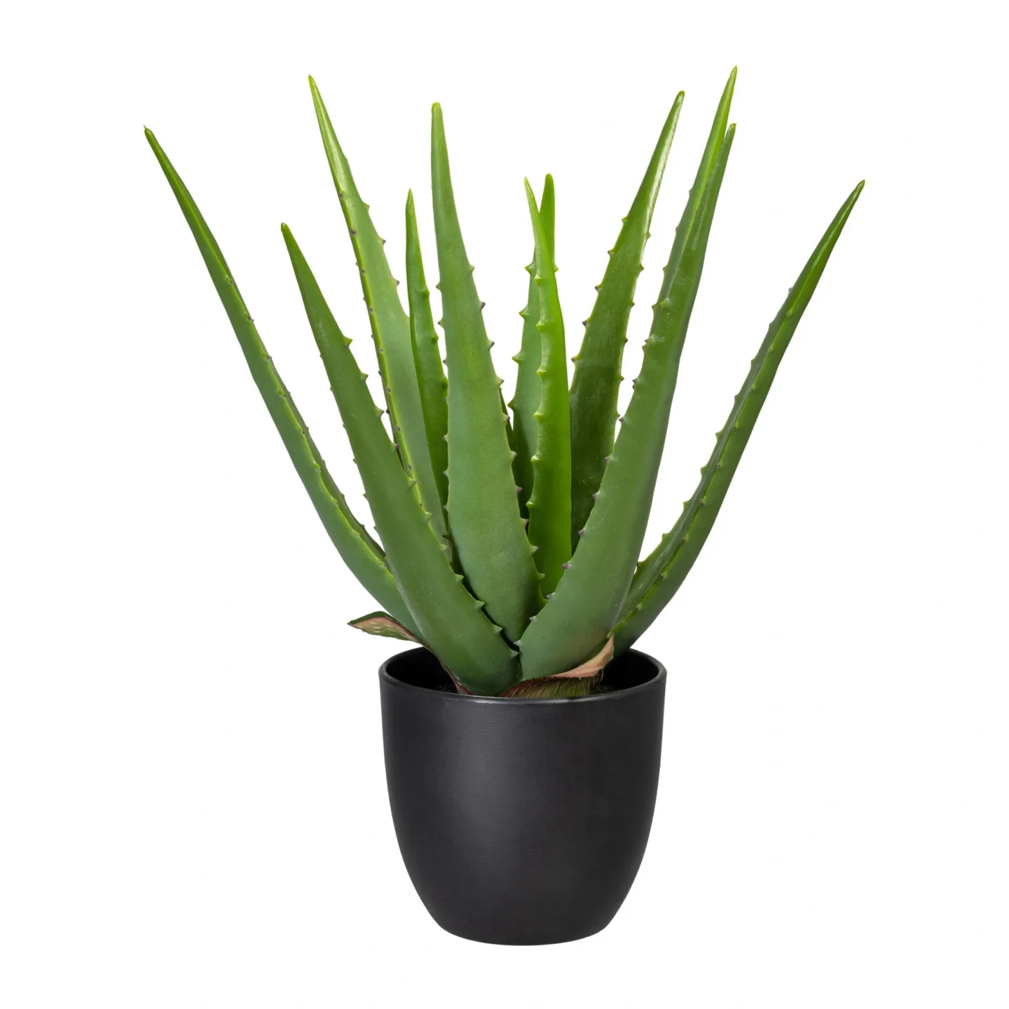 Gasper Kunstpflanze Aloe im Kunststofftopf, Grün | Schubiger Möbel