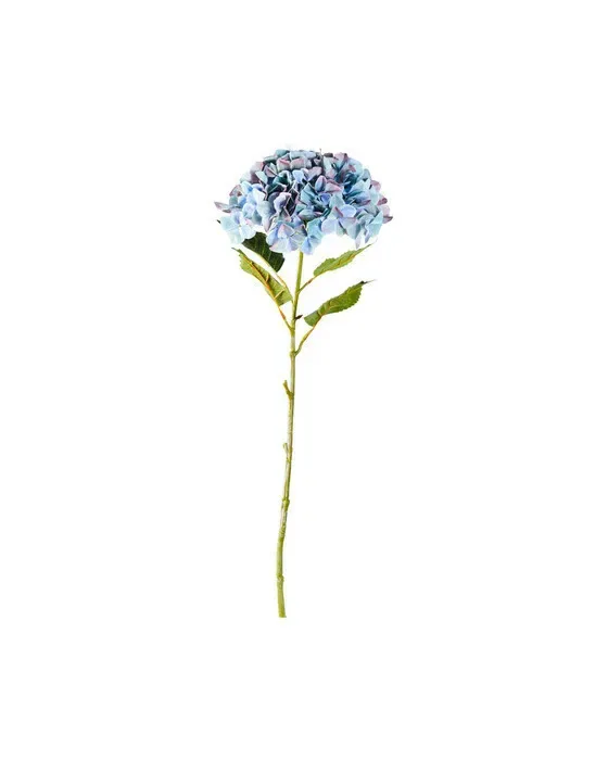 Hortensia – afskåret blomst i blå