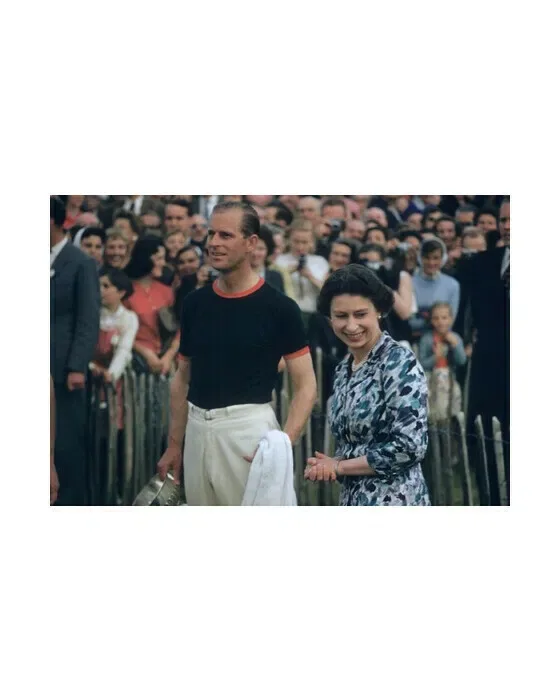 Royal Winner