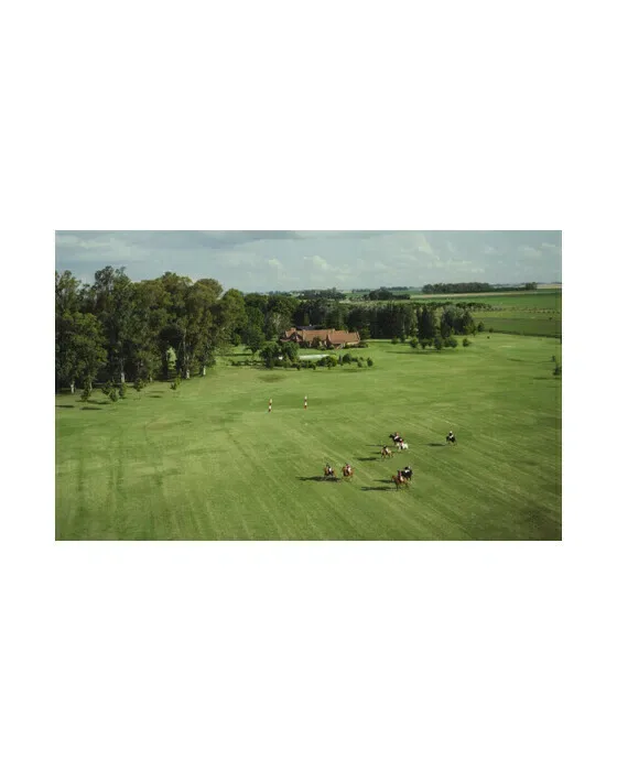 Polo Match