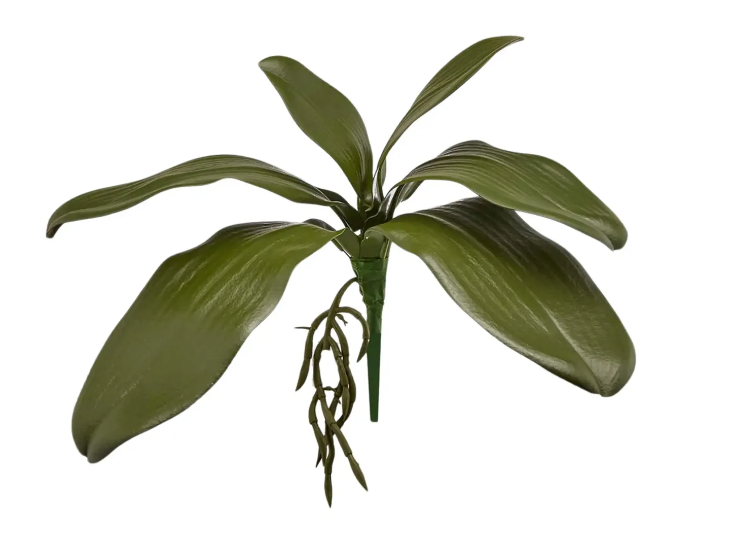 Edg Kunstblume Orchideenblätter H: 27 cm | Schubiger Möbel