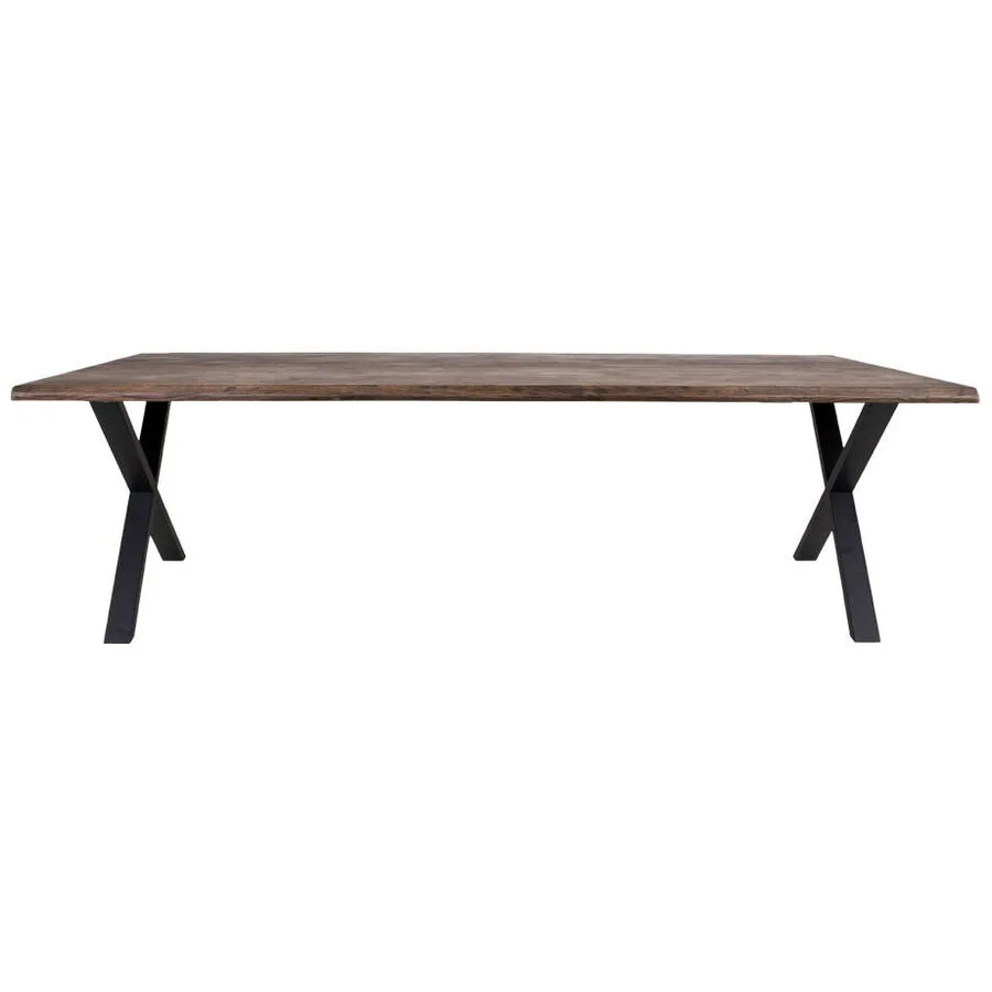 Esstisch Yavona braun/schwarz Eiche Natur/Metall B 100 T 300 cm