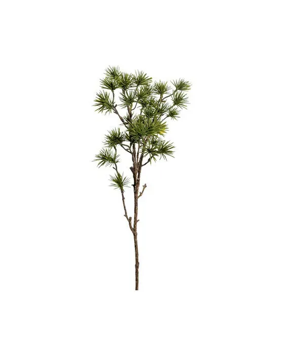 Larch Branch Green