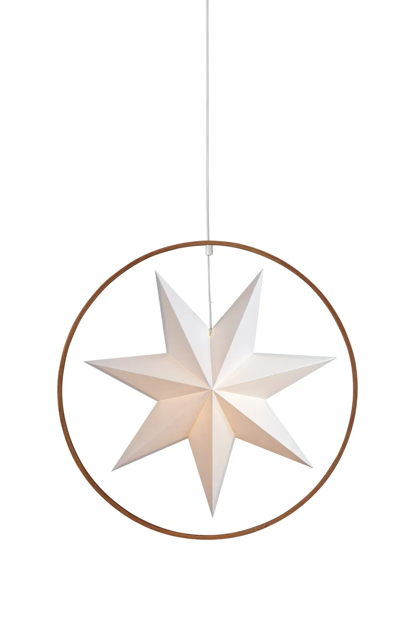 Speranza Weihnachtsstern Braun