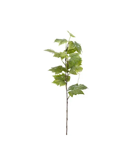 Currant Twig Green