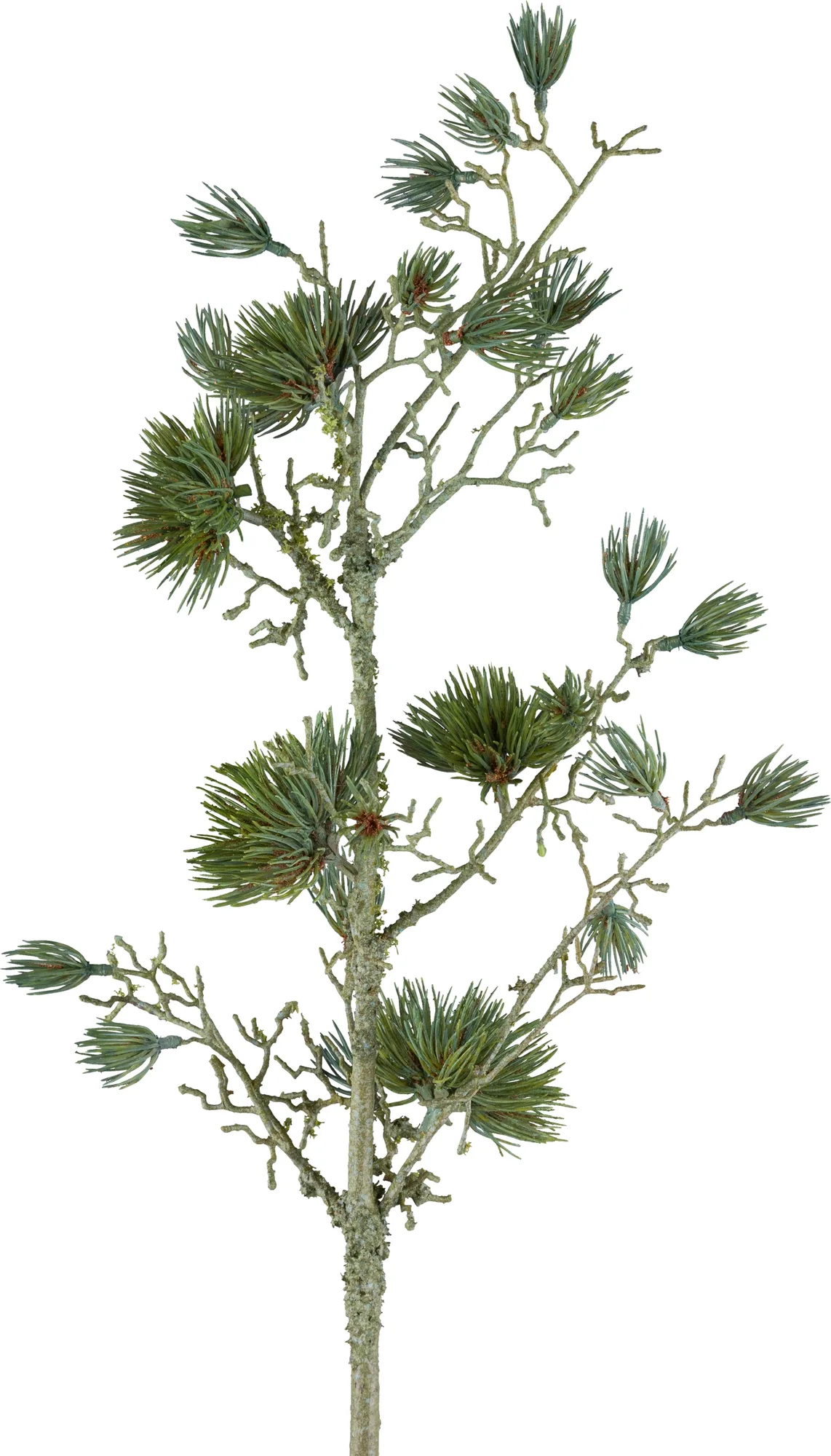 Gasper Kunstblumen Zedernzweig, Grün H: 68 cm | Schubiger Möbel