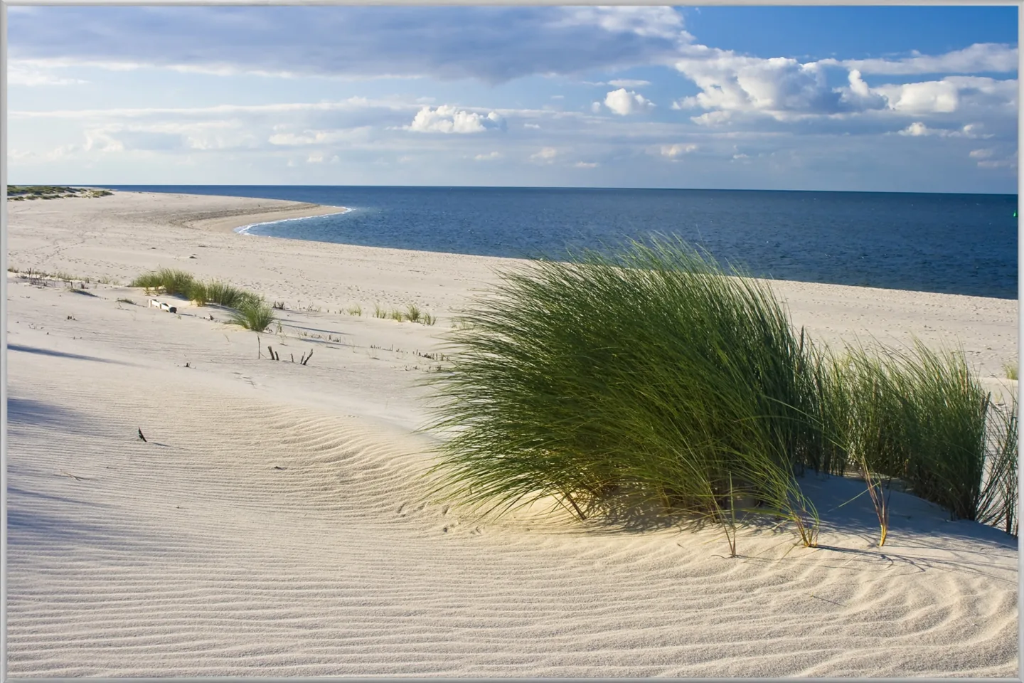 image LAND Bild mit Rahmen Strand mit Dünengras | Schubiger Möbel