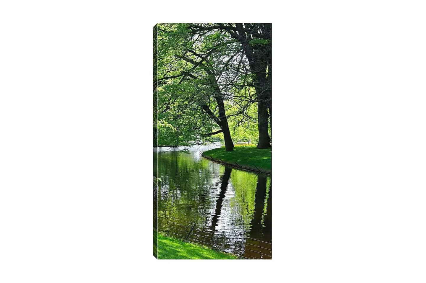 Canvastavla DKY Floral & Botanical Flerfärgad - 50x120 cm