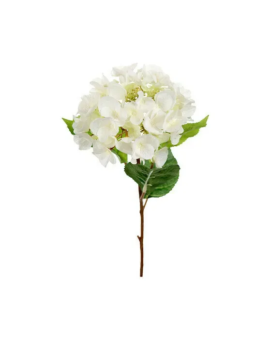 Hortensia – afskåret blomst i hvid