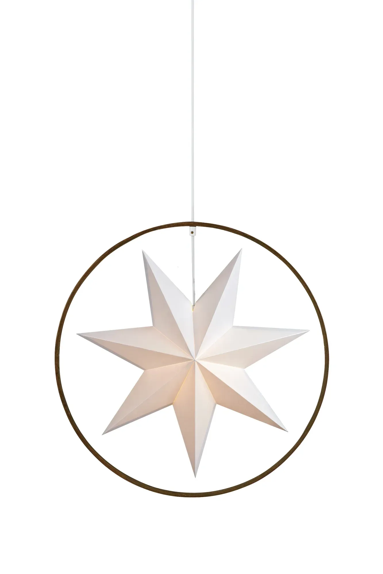Speranza Weihnachtsstern Grau