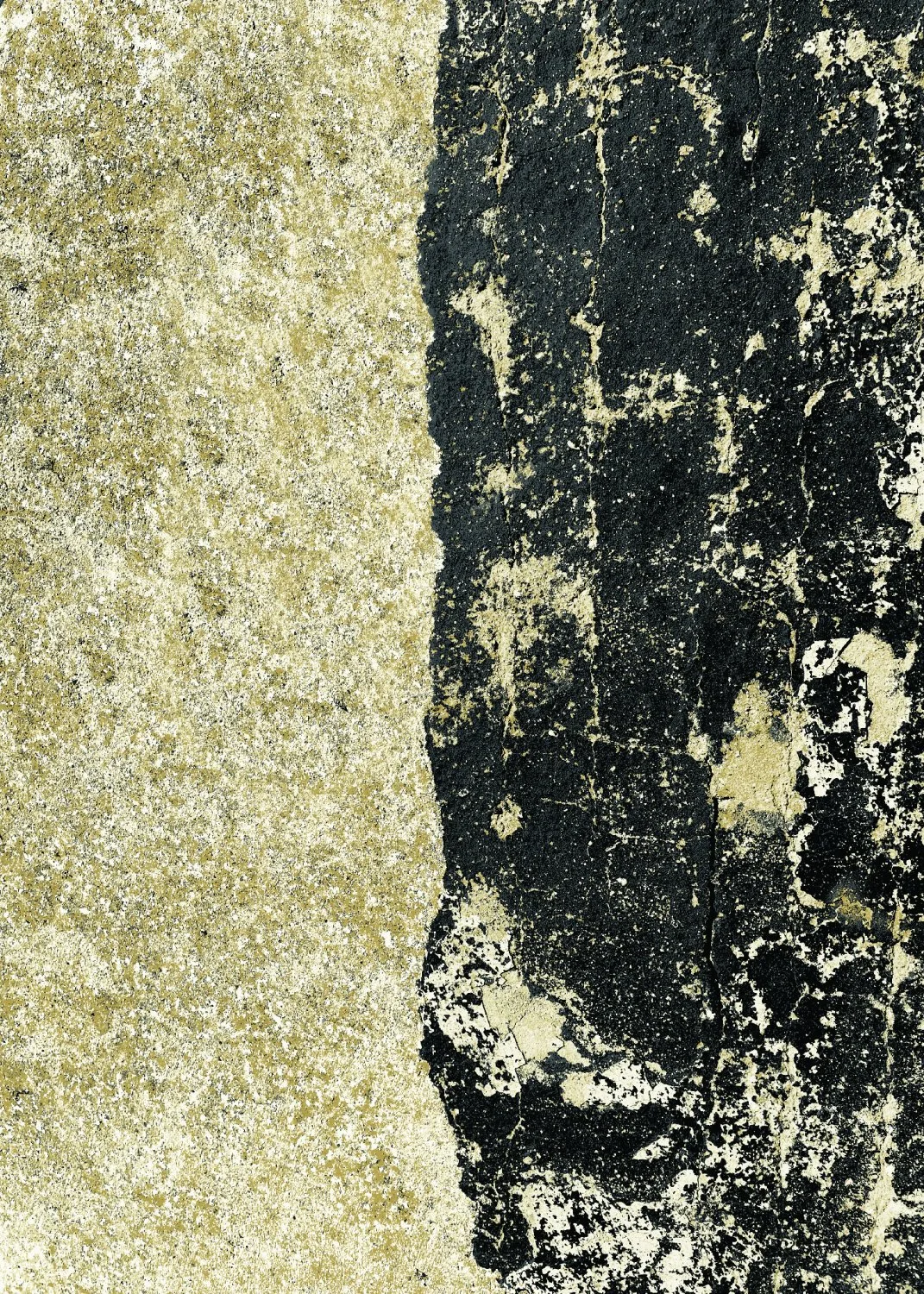 Wilton-teppe - Cyra (svart/gull) (Størrelse: 160 x 230 cm)