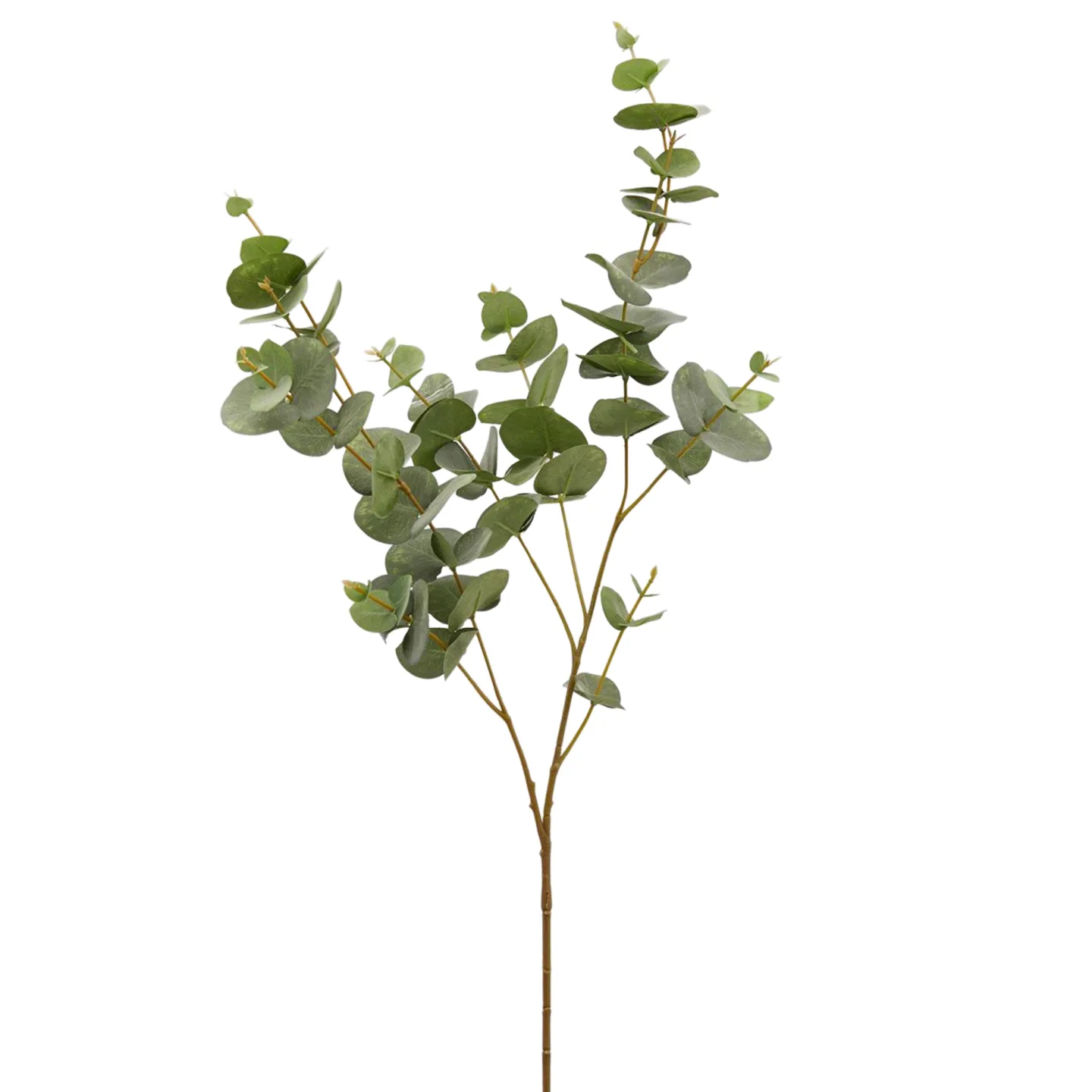 Edg Kunstblume Eukalyptus H: 100 cm | Schubiger Möbel